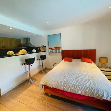 Luxueuse Du Sud Villa Sainte-Maxime